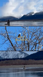 Our new favourite spring activity is getting back across the border to Alaska for some early season fly fishing adventures. We got skunked on this trip last year, but learned a lot about the river system, and a brand new fishery to us. Very excited to apply what we learned this year about these AK trout species, and see if we have better luck 爛 @abitibico #FishAlaska #YukonUnguided #flyfishing #canoeing #adventure | Yukon Unguided | Facebook