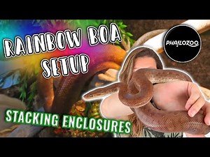 Colombian Rainbow Boa Setup // Stacking Phailozoo Enclosures
