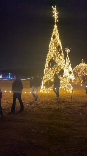 Perfect for couples, families, and friends, Trail of Lights at Country Creek Produce Farm is more than a walk — it’s a heartwarming holiday experience filled with laughter, wonder, and small-town charm. 🌟 Trail of Lights Nov 28-Jan 3, select dates. Full schedule online at CountryCreekProduceFarm.com | Country Creek Produce Farm