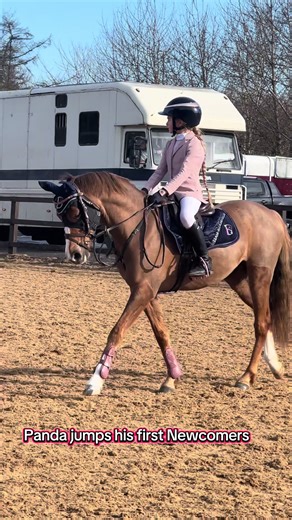 Panda's First Newcomers Jump with New Ear Bonnet