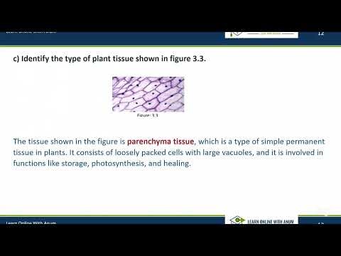 Class 10 | Biology | PBA | Solved Model Paper | New Syllabus 2026