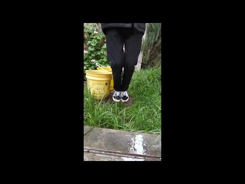 Playing in a rainy day with my Checkered Vans Old Skool in the grass, a puddle and mud fetish ASMR
