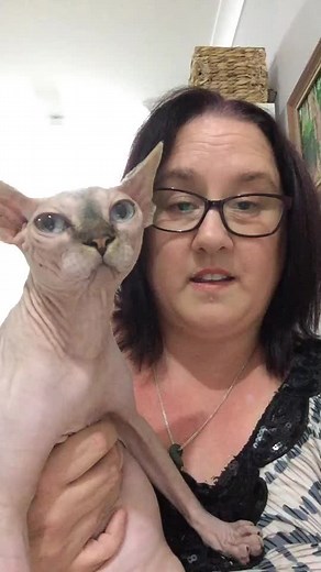 #foryouppage #havingfun #zanderthesphynx #sphynxlife #sphynxlover #doyouwanttobemyfriend