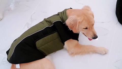 Intercoms Wireless for Home, Long Range Wireless Intercom 6000ft, Intercoms for Home with Group Call, Monitor Function, 8 Volume Levels Intercom System for House Business Office Elderly(2 Packs)