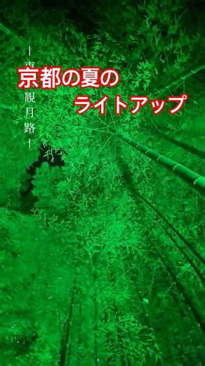 Kyoto’s Limited-Time｜ Bamboo Light-Up 🎋🌙 | Summer Light-Up | Jul 11–Aug 23