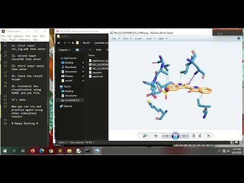 How to use Protein Ligand Interaction Profiler (PLIP) for NRGsuite results