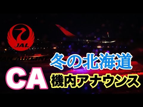 冬の北海道フライト 欠航リスクがある中でのJAL CA機内アナウンス【IBA-AIR】
