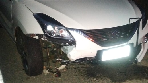Car accidents, insurance claims involving wild deer surge