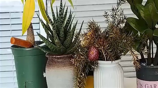 16L超值装德沃多营养土肥力持久植物越长越有劲