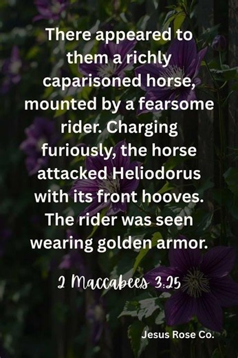 Catholic Bible Study | 2 Maccabees 3:25 | Jesus Rose Co. ✝️