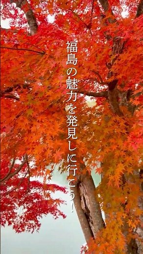 【毘沙門沼】福島の魅力を発見しに行こう！🍑✨#福島県 #福島観光 #福島旅行 #おでかけ #大学生 #自然界隈 #絶景ツーリング