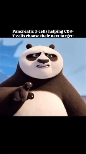 When pancreatic beta cells start doing PowerPoint presentations for CD8 T cells… 📊🐼 ‘And here, dear students, is your NEW target — me! Autoimmunity really be like training your own enemy 😂🔥 #microbiology #microbiologist #microbiologylab #explorepage #bacteriology #microbe #science #molecularbiology #kesfet #virology #pcr #cell #culture #media #molecular #lifescience #knowledge #know #fact #mikrobiyoloji #bacteria #bakteri #microbiologia #lab #laboratory #phd #phdstudent #fyp #viral #reel | M