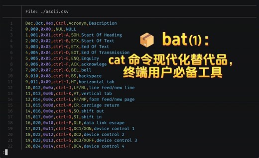 📦 bat(1): cat 命令现代化替代品，终端用户必备工具