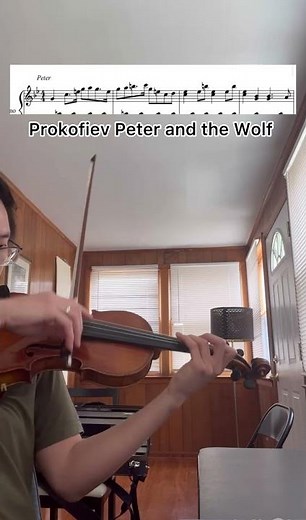 Prokofiev Peter and the Wolf #violin #violinmusic #music #violinist #prokofiev #violinst #geige