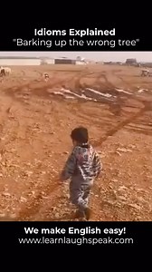 6.6K views · 63 reactions | “Barking up the wrong tree” This idiom...