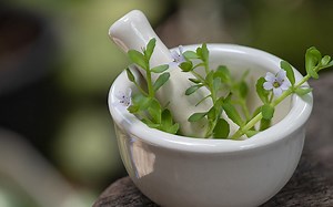 7 Amazing Benefits Of Brahmi + How To Use It?