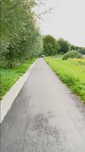 #walking #nature 🌿 Walking Through the Beautiful Parks of Berlin | Relaxing City Walk 4K 🌳😊 ? 🔔