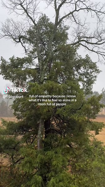 Understanding the Weird Feelings of Human Experience