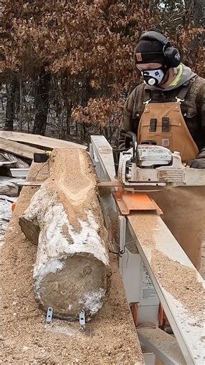 CRAZY Grains and Colors Inside this Siberian Elm Log! Logosol F2+