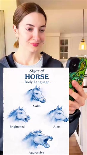 Signs of horse body language meme filter effect Signs of horse body language meme filter effect template Signs of horse body language meme trend tutorial Signs of horse body language meme filter tutorial How to create AI signs of horse body language meme filter effect How to use signs of horse body language meme filter tutorial How to create signs of horse body language meme popular trend How to create signs of horse body language meme filter tutorial How to make signs of horse body language mem