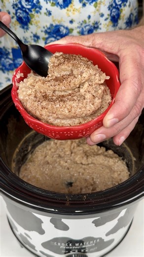 Homemade Slow Cooker Cinnamon Rice Pudding | Drew Cooks