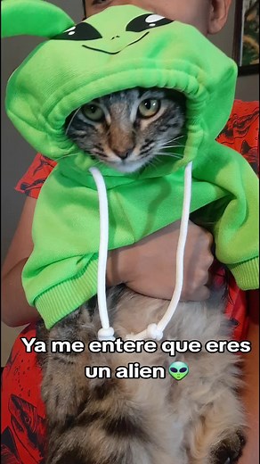 Alienígenas y Rumbas: Un Meme Divertido