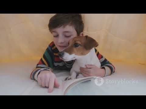 LeapFrog Read with me Scout intro Theme Song invideo.ai