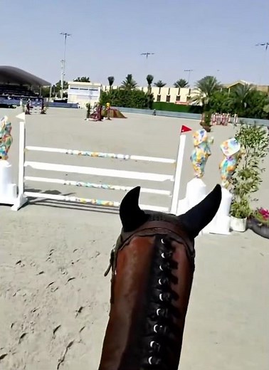 POV: Front Row at My Amazing Pony Show 🐴✨
