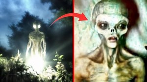 11K views · 303 reactions | They Filmed An Alien In Forest, The Ending Will Shock You | Aliens UFO Caught on Camera | Facebook