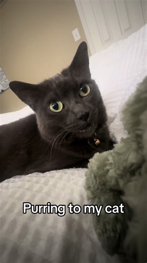 Discovering Humans Can Purr Too!