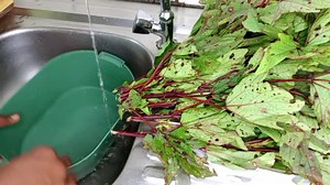 125K views · 7K reactions | Mon anniversaire c'est le 05 Août n'oubliez pas de me proposer les recettes pour le direct je vais porter ma petite Robe de 200f   Feuilles de Tarot a l'oseille  Clic ici  https://youtu.be/5CsUTWGUAxw #TuMangesTuPleuresEtTuDors❤️ | Bliss la choupinette | Facebook