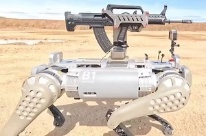 Adorables, pero letales: así son los nuevos perros robot del ejército chino