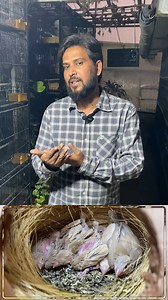 32K views · 917 reactions | How to Produce New Java Mutations | Eumo...