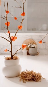 5.7K views · 63 reactions | Here is a really simple and easy to make...