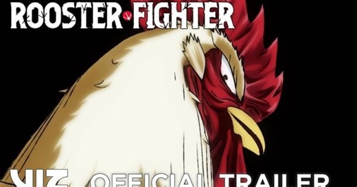 Rooster Fighter Anime Reveals Spring 2026 Debut, New Trailer