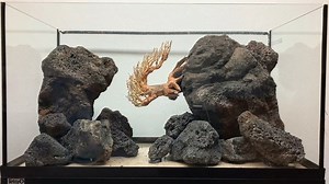 38K views · 141 shares | #werbung Pimp up a 105I Tetra Starter Line...