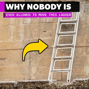48K views · 191 reactions | Why Does This Ladder Stay Untouched? | Real Life Lore | Facebook