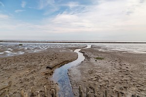 What Are Tides? A Guide to High and Low Tide