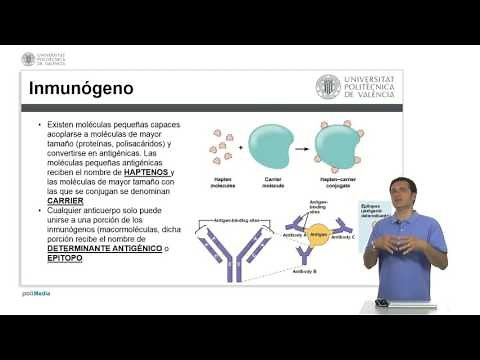 Antígenos y Anticuerpos | 2/25 | UPV
