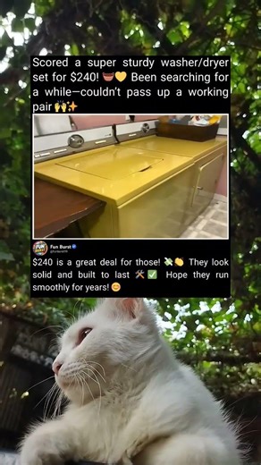 Scored A $240 Washer Dryer Set Deal