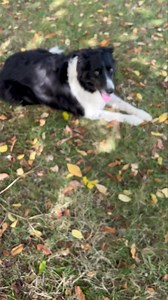 Bobbin 🥰 | Putman and Robin