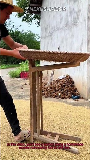 How to Winnow Rice: Traditional Grain Sorting with a Homemade Tool