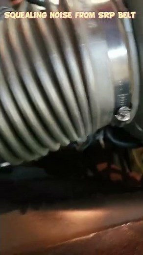 Belt Squealing Noise , easy to fix it with silicone Lubricant.