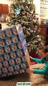 They're finally reunited.#usa🇺🇸 #surprise #reunion | Surprise Reunion