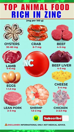 Top Animal Food Sources Rich in Zinc