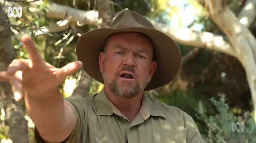 Noongar seasons: Kambarang