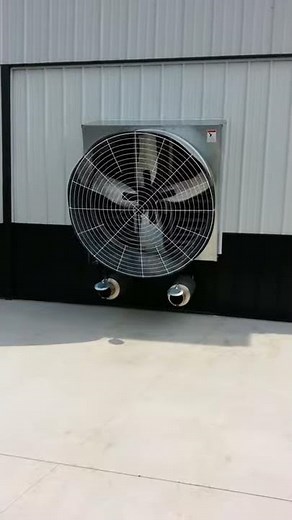 496 BBC 700HP dyno test 781 heads