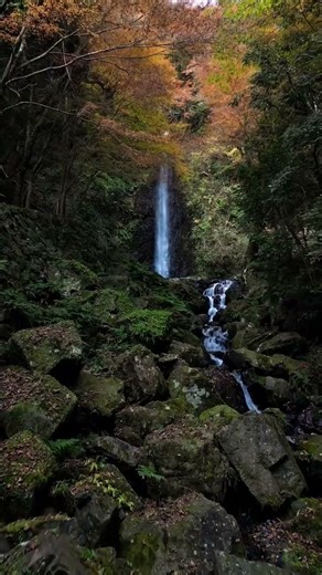 養老公園「養老の滝」2025年12月
