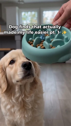 How to Keep Your Dog Busy for 20 Minutes 🧠🐶