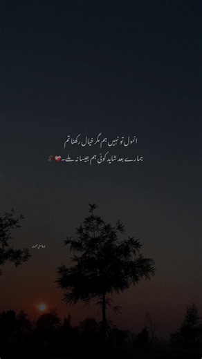 Creative Poetry Writing Tips for Heartfelt Expression